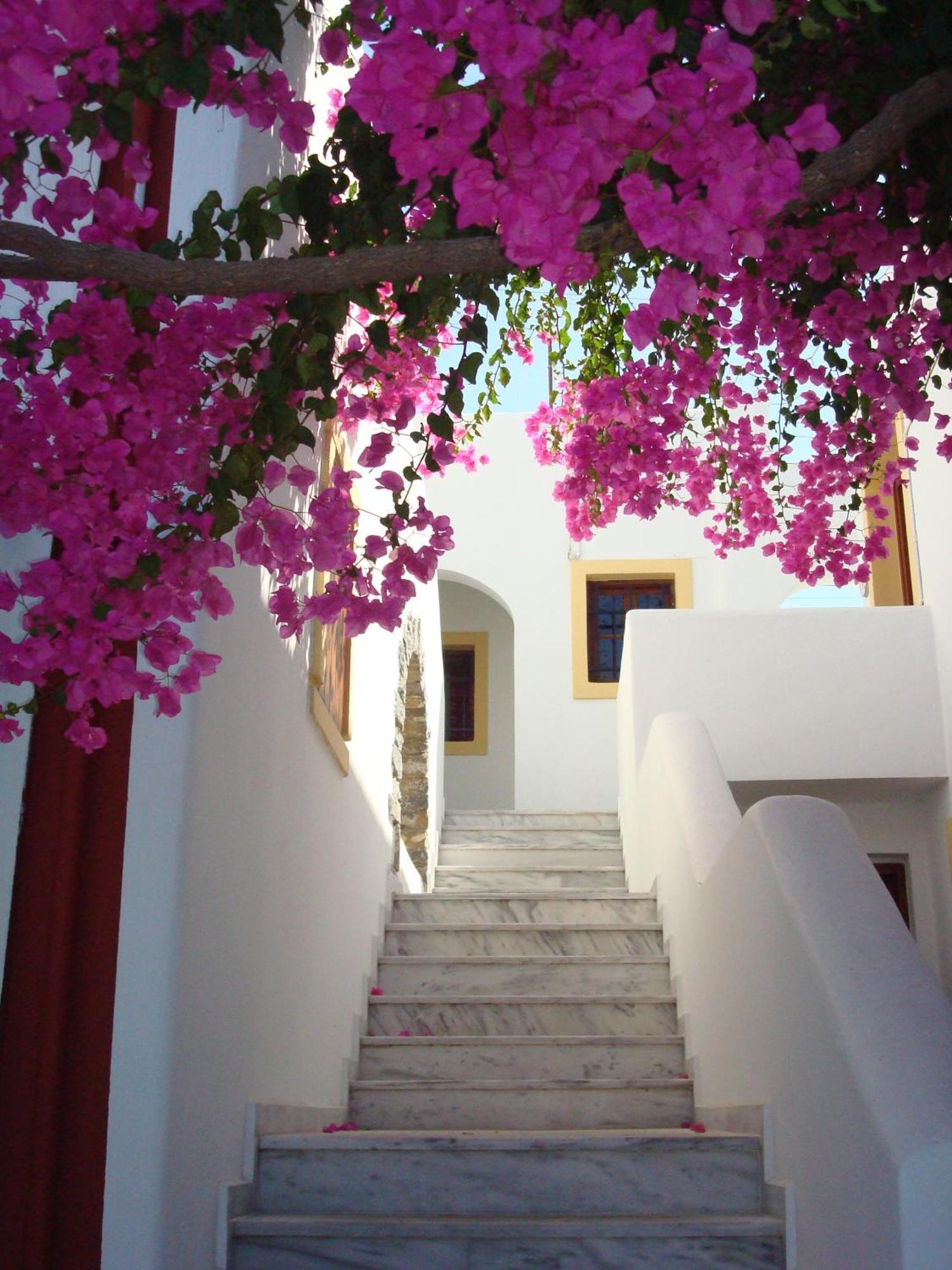 Villa Diktynna Limenas Chersonisou Exterior foto